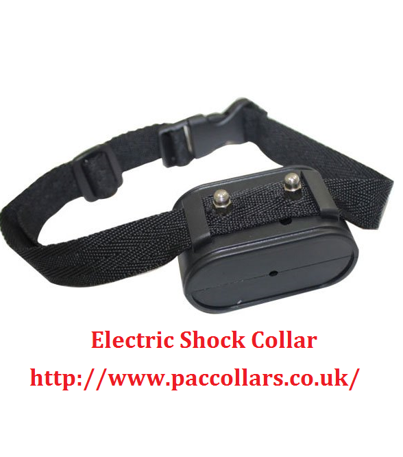 Electric Shock Collar.